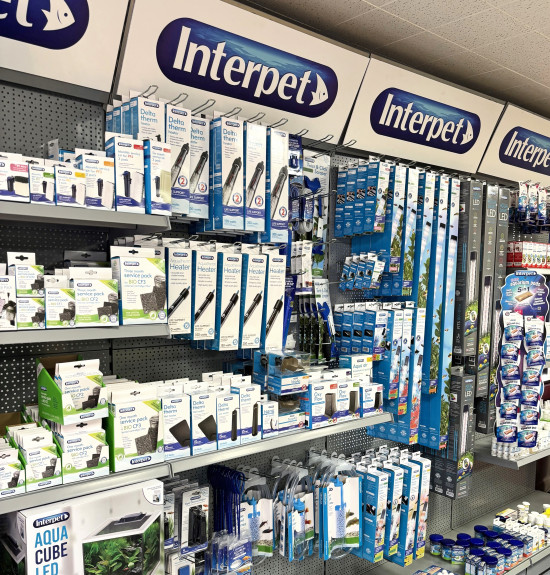 Interpet products also complement the Heinsberger range. Interpet products also complement the Heinsberger range.
