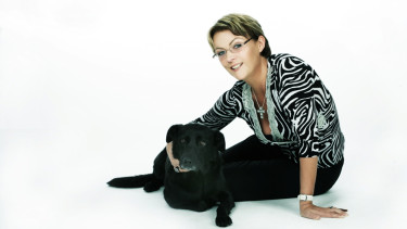 Record sales in Austria