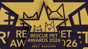 Only Rescues launches inaugural Rescue Pet Awards