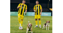 Waudog becomes a sponsor of FC Chernihiv
