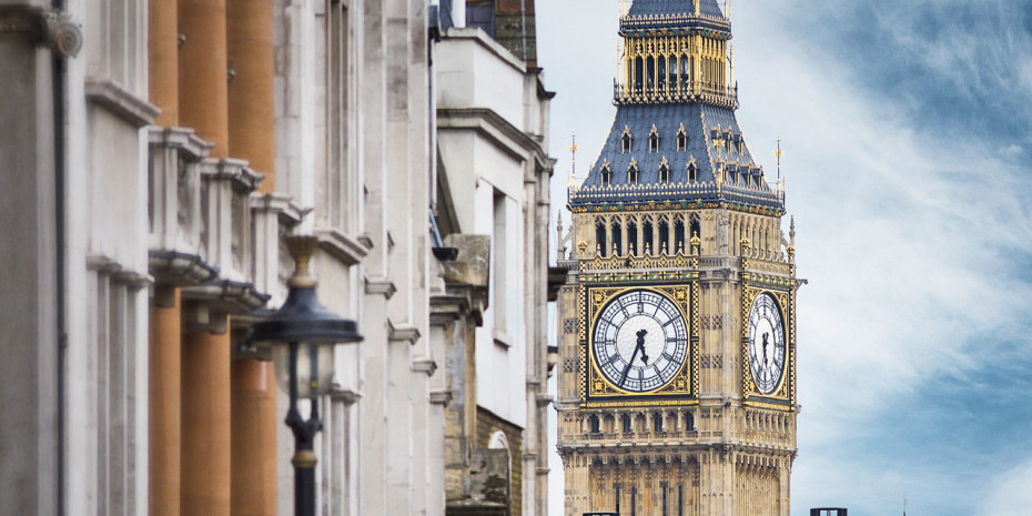 In 2024, the number of pets in the UK stood at 36 mio, representing an economic value of 4.1 bn GBP. 