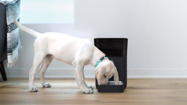 Smart-tech products for pets reach high sales