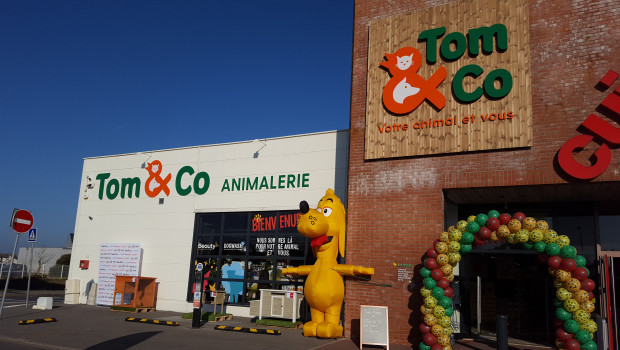 With 175 stores in Belgium and 42 in France, Tom & Co. is a major player in pet supplies retailing in western Europe.