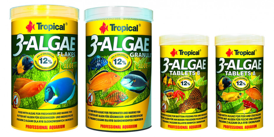 Tropical, 3-Algae