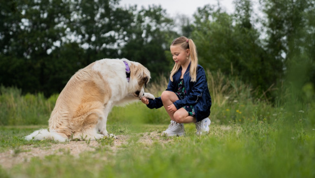 Prins Petfoods is supporting the interaction of children and dogs.