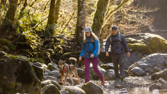 Strong sales growth in Europe with Ruffwear