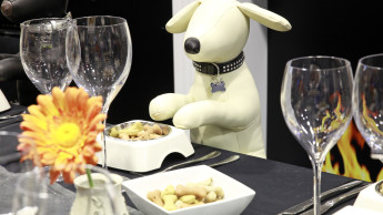 Integrating novel ingredients into pet food products
