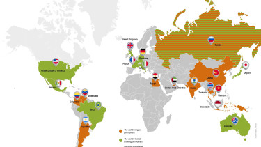 The international pet food market