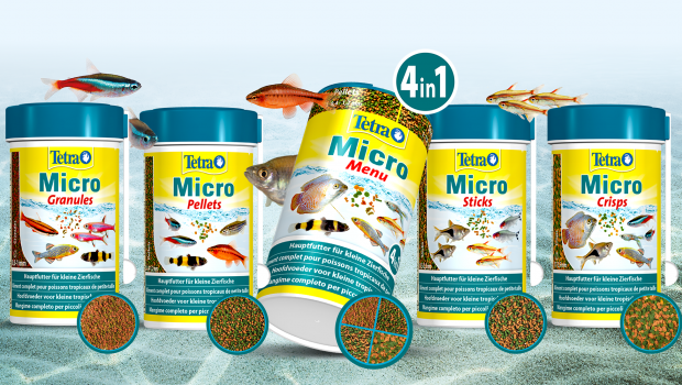 food for small fish, Tetra, Micro range