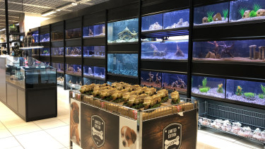 New kid on the block in Switzerland