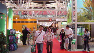 Zoomark is becoming more international