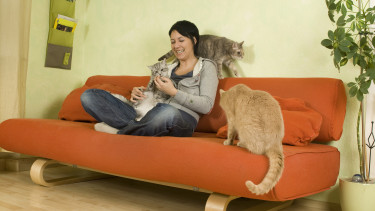 Mintel study on pets