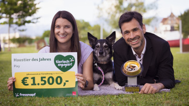 Goldener Fressnapf on world animal day