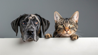 Purina presents talks by 20 experts