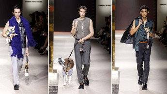 Pet adoption at the Mercedes-Benz Fashion Week