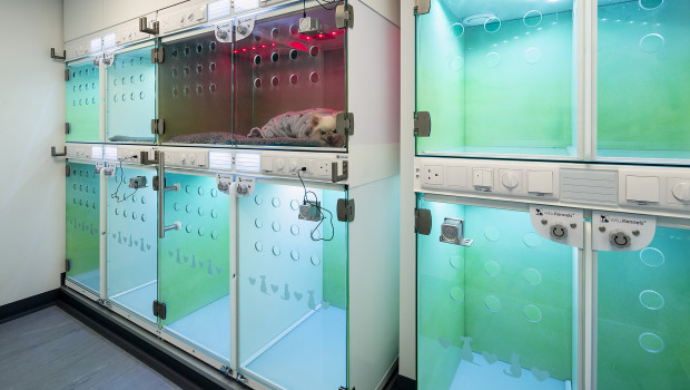 At the London Vet Show 2025, vets are invited to put themselves in the shoes of an animal patient and experience for themselves what it feels like to be housed in an animal crate.