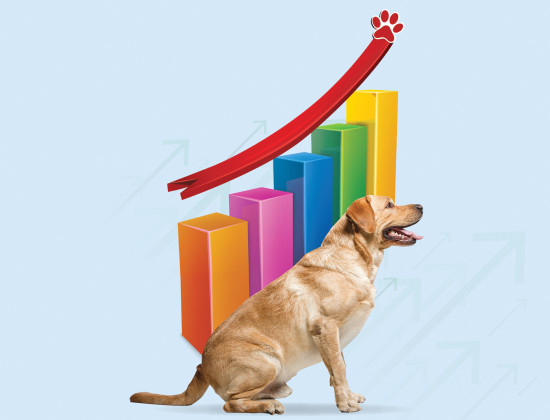 Indian pet sector Indian pet sector
