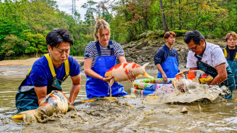 From a garden pond to a digital business model From a garden pond to a digital business model
