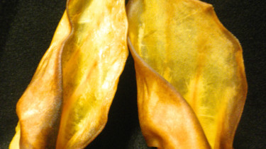 Dog chews from the USA