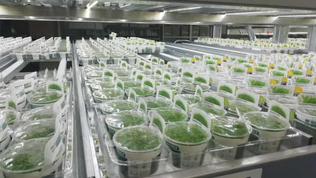 Under the new regulations, all plants must have a so-called plant passport.