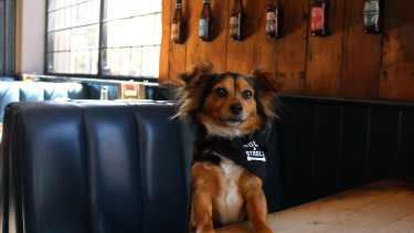 Courses for the hospitality industry