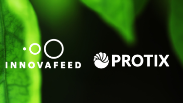 Insect protein: Innovafeed and Protix join forces on carbon data