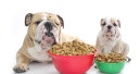Order pet food at the touch of a button