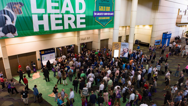 The Global Pet Expo The Global Pet Expo