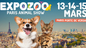Booths available for Expozoo & Paris Animal Show