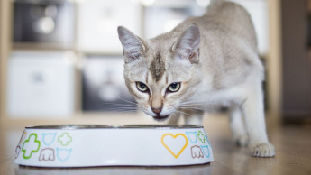 A diverse range of brands