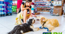 WPA moves into market research with PetLens