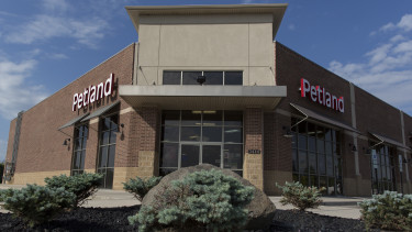 Petland leads the way
