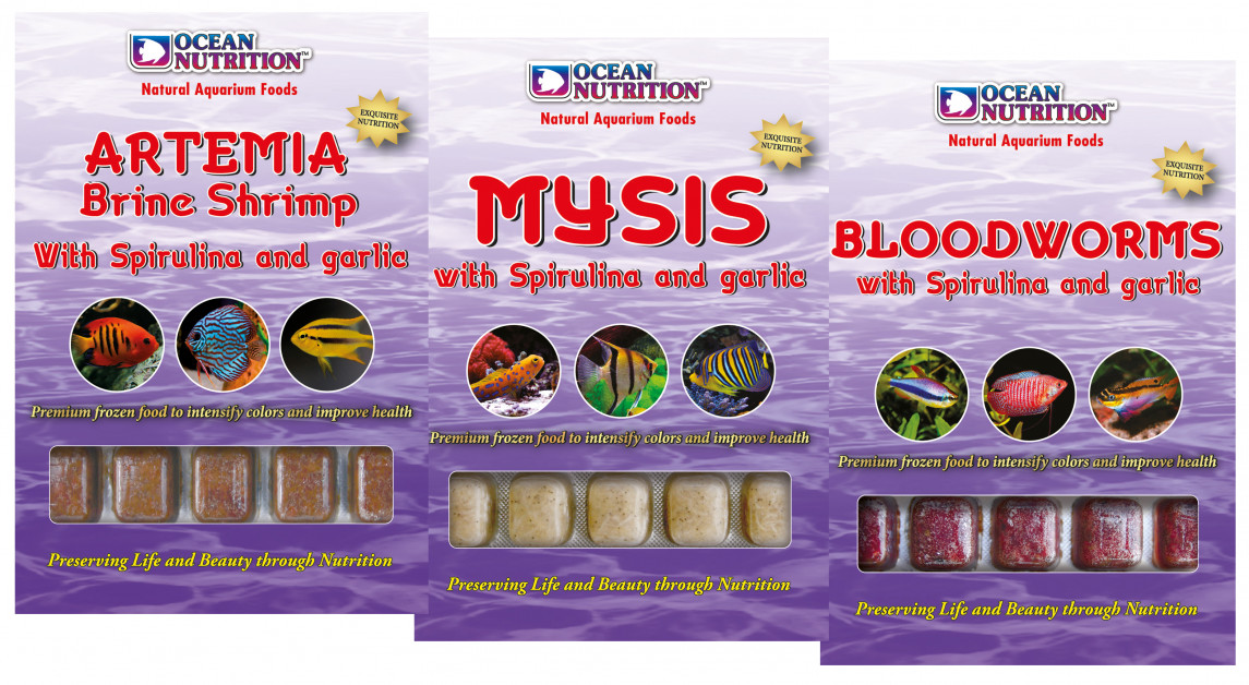 Frozen fish food petworldwide