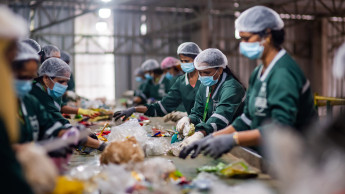 PSC releases report on sustainability in the pet industry