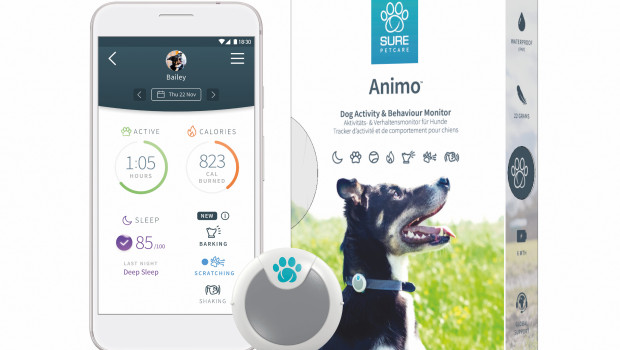 SureFlap, Sure Petcare, Animo, dog behaviour and activity monitor
