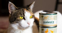 Zealandia Pet Food launches in the U.S.