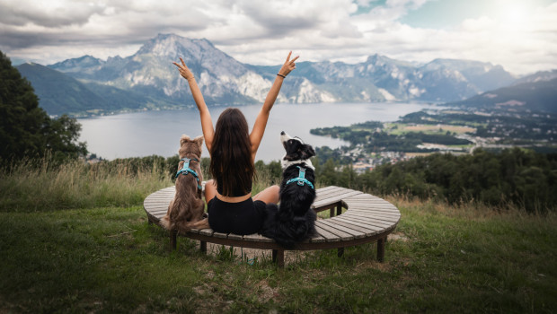 Non-stop dogwear’s sports and outdoor equipment just received ISO certifications for its quality and environmental management systems.