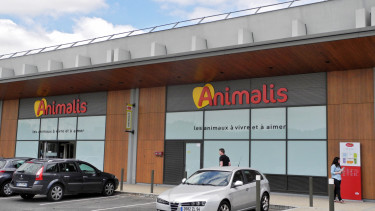 Aiming for a higher profile