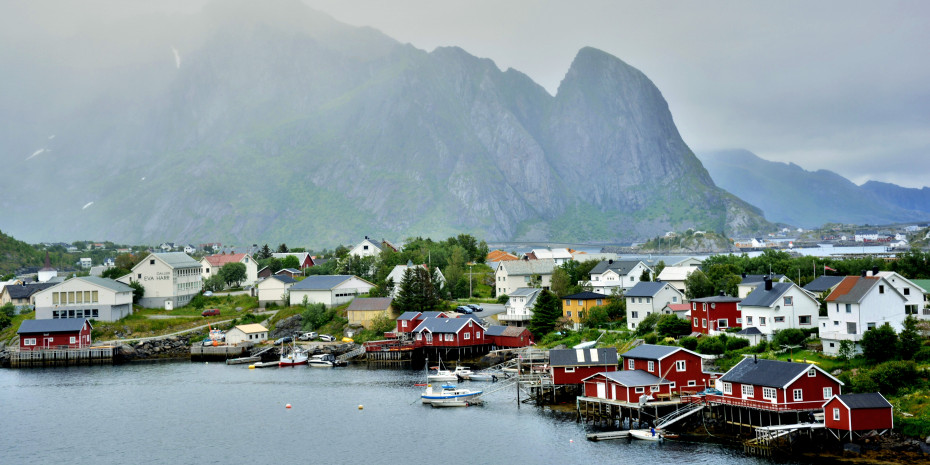 Norway pet store
