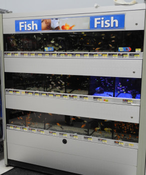 Some estimates say that the mass retailer was responsible for up to 30 per cent of tropical fish sales.