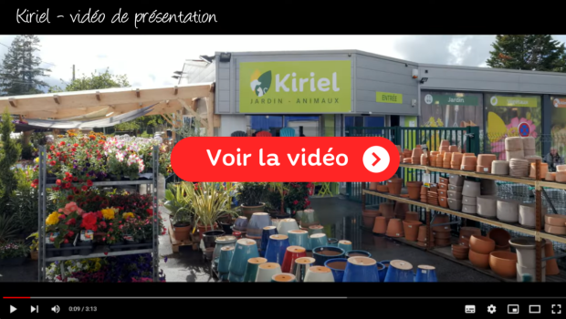 The aim of the new presentation video is to inspire new Kiriel franchisees.