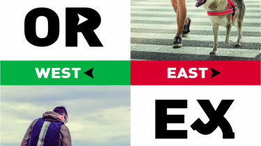 Big steps ahead for the House of Brands 