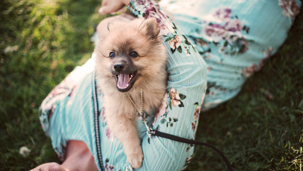 Musti Group announces paid parental leave for employees acquiring a new pet.