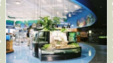 4th Aquarium Adventure opens