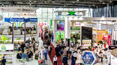 A positive outcome for ParkZoo