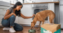 Most European D2C pet food brands are self-funded, report finds