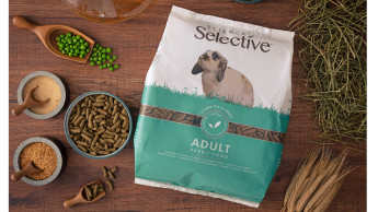 Big things for the smallest