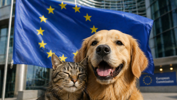 The European Parliament has adopted the first EU-wide regulation specifically addressing the welfare and traceability of dogs and cats.