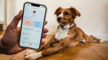 Clinical studies validate Maven Pet