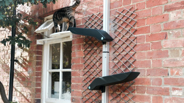 Catipilla secures financial backing 